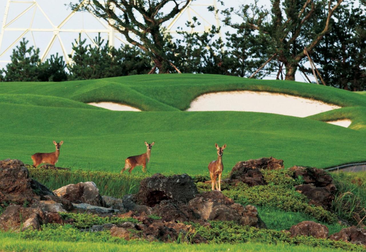 Ardenhill Resort & Golf Jeju Extérieur photo